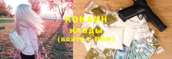 амф Верхний Тагил