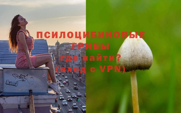 дурь Вяземский