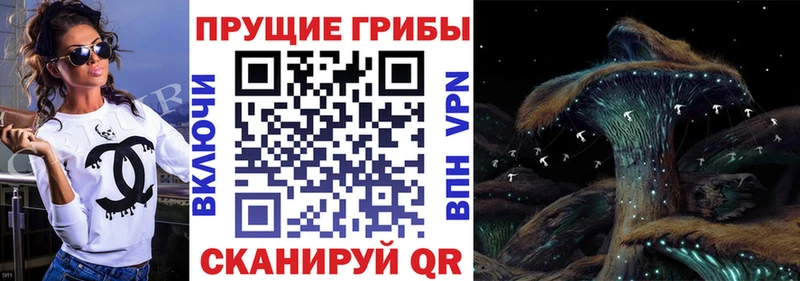 Псилоцибиновые грибы мицелий  МЕГА маркетплейс  Закаменск 
